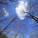 봄을 재단하다 이미지