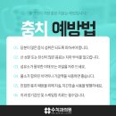 화이트수치과의원 이미지