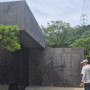 [양산 맛집] 초록 뷰가 환상적인 브런치 카페, '차콜하우스' 내돈내산 솔직 후기 🌱