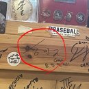 한원소담 | 제30회 부산국제영화제 후기(2주차 上)