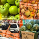 (주)와이마트 전주혁신점 | 전주혁신도시과일가게 당일 산지 과일 오색청과 혁신점