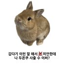 세라아이파크용산 네이버블로그