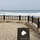 아젤리아 펜션 | [강원도 감성숙소] 자쿠지 있는 프라이빗 펜션 삼척 오션뷰 숙소 휘가 내돈내산 후기