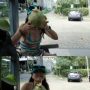 에코 시스템 | 발리 짱구 숙소 추천 , 더 리트리트 앳 카리스타 바이 에코시스템 후기