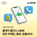 11650-5-50-9 | 미국 이심 추천 로밍도깨비 50일 실사용 후기