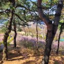 춘의역 (6번 출구) 이미지