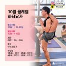 하타요가 기초(All Level) 이미지