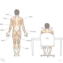 옥산헬스 이미지