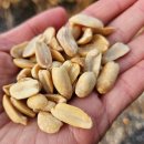 새 | 겨울 새 탐조 후기