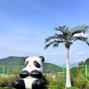 스타키즈 이미지