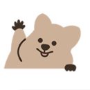 꽃카