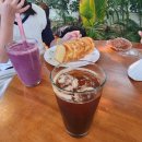 그린파파야 | 하우스인 줄 알았는데 온실 ㅣ지나갈때마다 들르게 된 청주 그린파파야