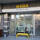 바우미우 | 청라 강아지수제간식ㅣ비쥬얼도 예쁜 바우미우