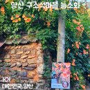 구소석길 | 양산 능소화 명소 구소석마을, 6월 말 개화 상황과 방문 후기