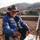 애버그린 이미지