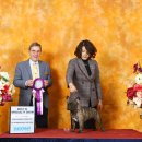 Jena house 이미지