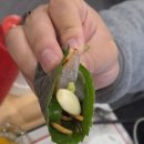 창원횟집 | 창원 키무야스시 엔 횟집 후기 – 가성비 끝판왕 창원횟집 애견동반 가능