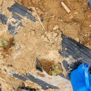 과림농장 이미지