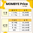 일산애견 이미지