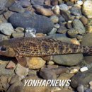 무주읍238 이미지