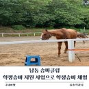 오봉로 10번길 | 남동 승마클럽에서 학생승마 지원 사업으로 학생승마 체험