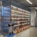 그냥거기당구장 | 경주 보문 원더스페이스 성인 데이트 내돈내산 후기