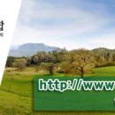 서대구초등학교 이미지