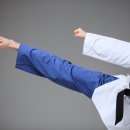 경향태권도 이미지