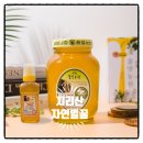 산청 꿀맛 농원 지리산 자연벌꿀 후기｜국산 아카시아꿀 인기 이유는?