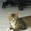진이옷수선 이미지