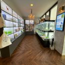 도그마루 강아지 고양이 부산점 이미지