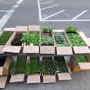 진주팜농약 이미지