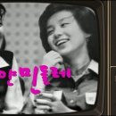 하얀민들레