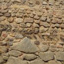 수수꽃담 이미지