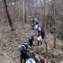 시나브로 이미지