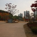 청계 청계중앙공원 매장문화재 유적 이미지