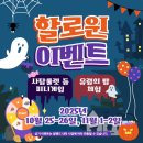 (주)코스모스 | 안성팜랜드 핑크뮬리 코스모스축제 실시간 개화! 커플 데이트 코스 아이데리고갈만한곳 추천