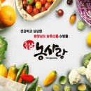 농사랑 한산 모시떡 찐송편 쫄깃쫄깃 맛있어