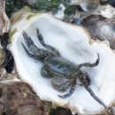 섬에온이유민박 이미지