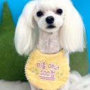 (주)스타몽 이미지