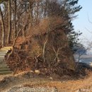 안산-대부-대부-3 이미지