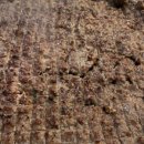 서울-언양-언양07 이미지