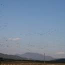 호수팬션 이미지