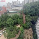 '숨이 턱' 보행약자 울리는 가파른 계단 100곳 '무장애 이미지