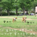 부평공원1 네이버블로그