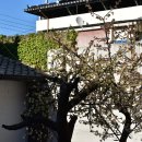 황해여관 이미지