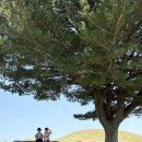 함안도서관 | 근교 아이랑 가볼만한곳 30개월 아기랑 함안 나들이 코스, 함안박물관부터 입곡자연생태놀이터까지 하루...