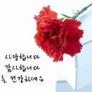 365)아직 서울에서 이미지