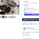 종덕농장 이미지