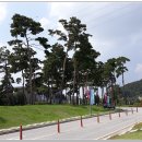 낙동강종주로 이미지